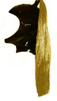 panelled latex ponytail hood